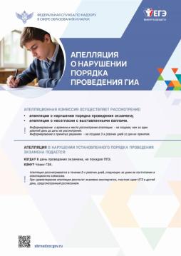 Апелляция по процедуре